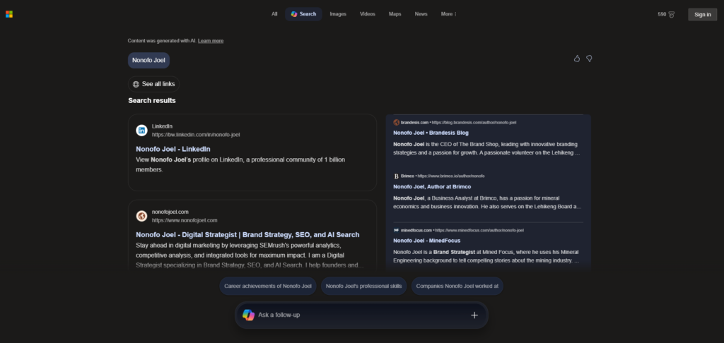 Dark-themed search results page showing two left-column cards (LinkedIn profile and website) and a right-column blog results panel for Nonono Joel.